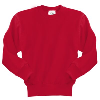 Youth Core Fleece Crewneck Sweatshirt Thumbnail