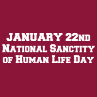Jan 22 National Sanctity of Human Life - Adult Heavy Blend™ 8 oz., 50/50 Pullover Hooded Sweatshirt Design