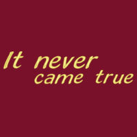 * It never came true - Adult Heavy Blend™ 8 oz., 50/50 Pullover Hooded Sweatshirt Design