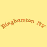 * Binghamton NY - Unisex 7.8 oz., Ecosmart® 50/50 Pullover Hooded Sweatshirt Design