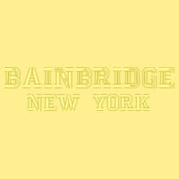 * Bainbridge New York - Unisex 7.8 oz., Ecosmart® 50/50 Pullover Hooded Sweatshirt Design