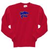 Youth Core Fleece Crewneck Sweatshirt Thumbnail