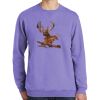 Beach Wash ® Garment Dyed Crewneck Sweatshirt Thumbnail