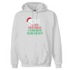 Ultimate Cotton® Hooded Sweatshirt Thumbnail